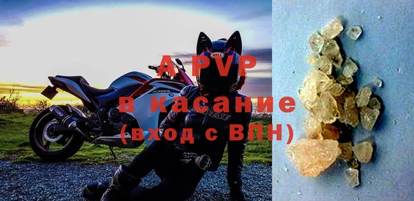 прущие крисы Верея
