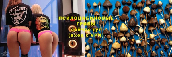 прущие крисы Верея