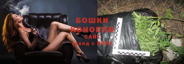прущие крисы Верея