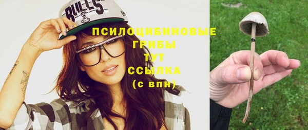 прущие крисы Верея