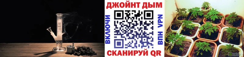 Купить где  Калининск  Бошки марихуана VHQ 